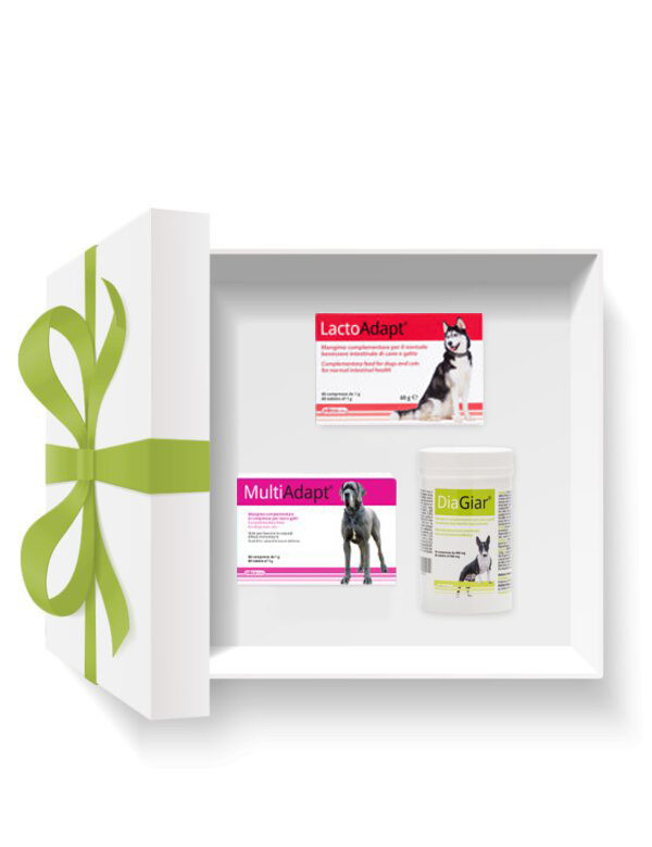 1713378870intestinal-box-1-600x779.jpg